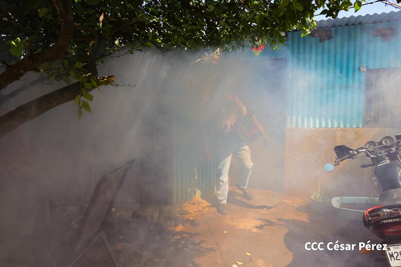 Fumigacion-y-Abatizacion-Minsa-14