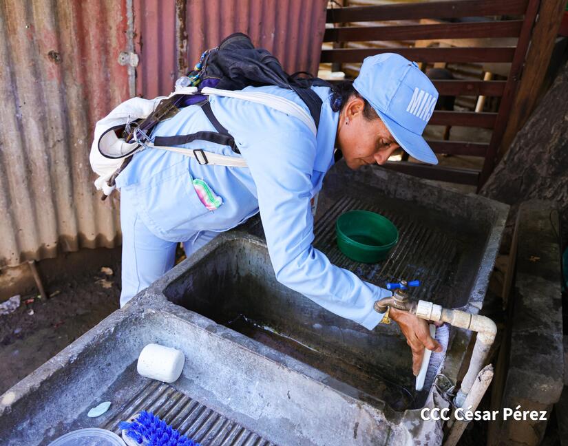 Fumigacion-y-Abatizacion-Minsa-5