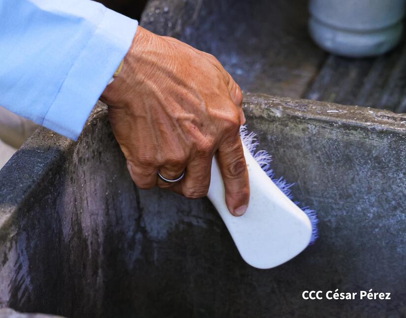 Fumigacion-y-Abatizacion-Minsa-6