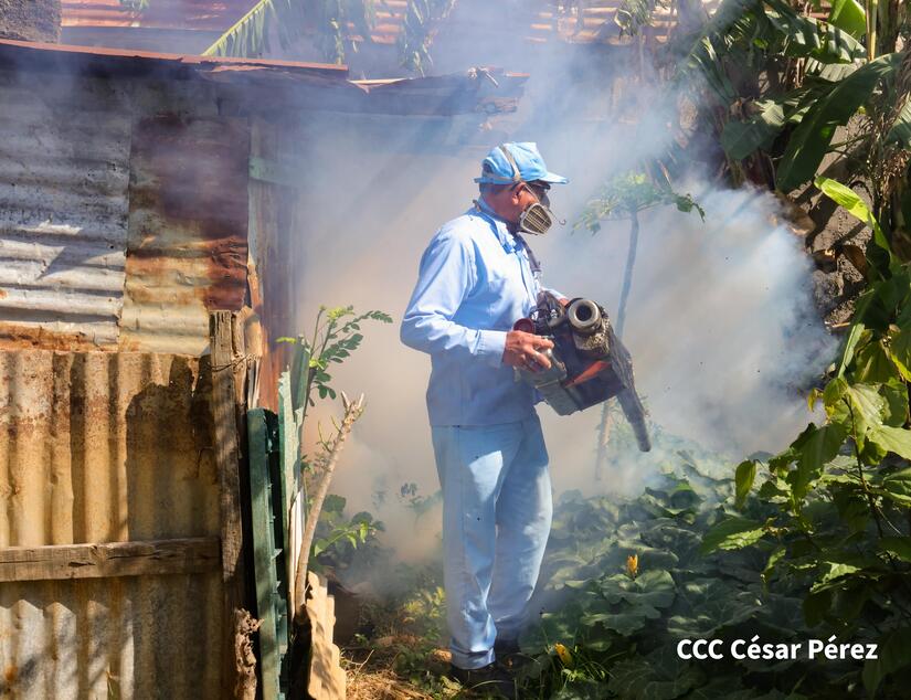 Fumigacion-y-Abatizacion-Minsa-9