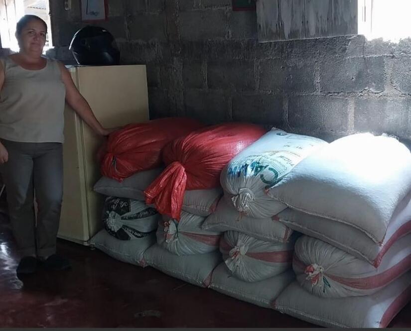 Produccion-de-frijo-en-Nicaragua-4