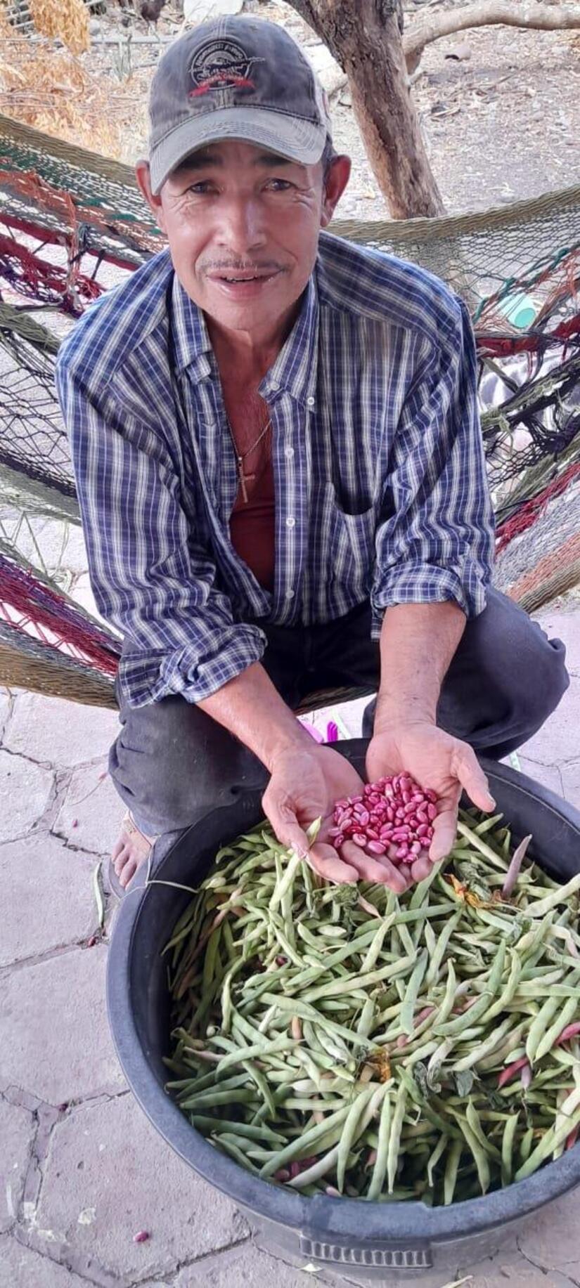 Produccion-de-frijo-en-Nicaragua-7