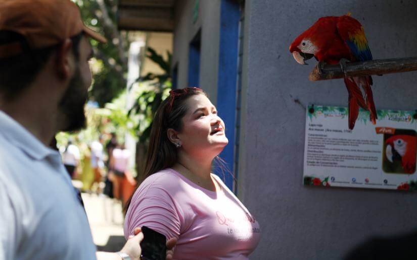 xilonem-zoologico-11