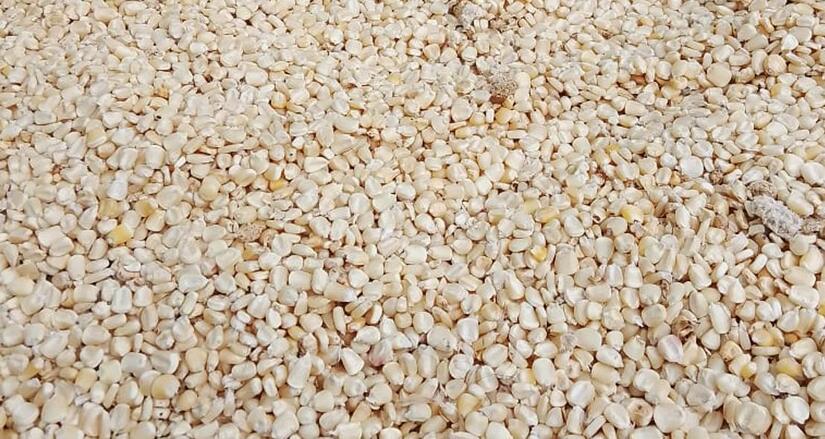 Ministerio-Agropecuario-de-Nicaragua-1