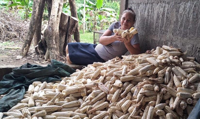 Ministerio-Agropecuario-de-Nicaragua-3