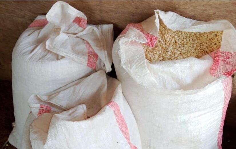 Ministerio-Agropecuario-de-Nicaragua-5