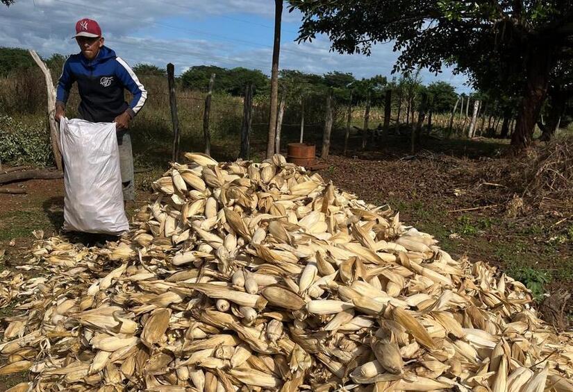 Ministerio-Agropecuario-de-Nicaragua-6