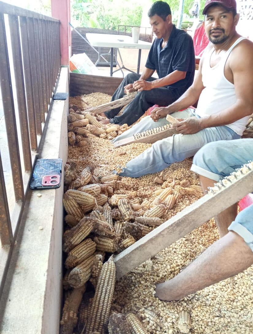 Ministerio-Agropecuario-de-Nicaragua-7