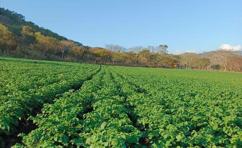 Ministerio-Agropecuario-1