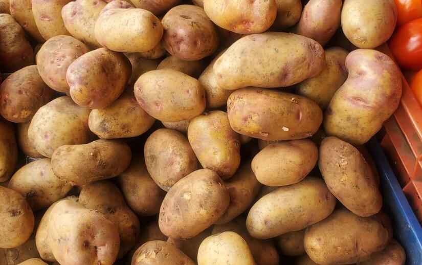 Ministerio-Agropecuario-2