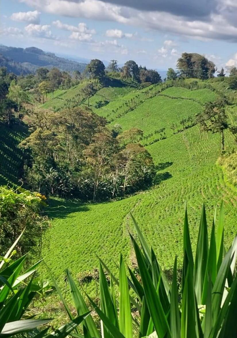 Ministerio-Agropecuario-4