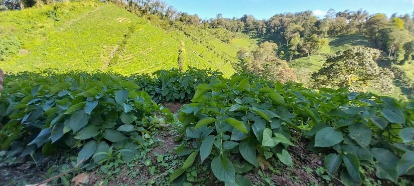 Ministerio-Agropecuario-5