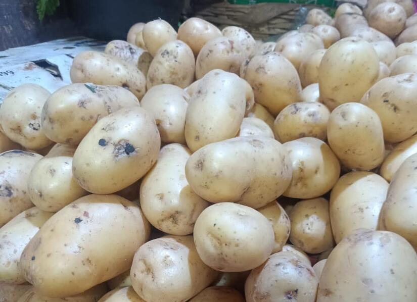 Ministerio-Agropecuario-6