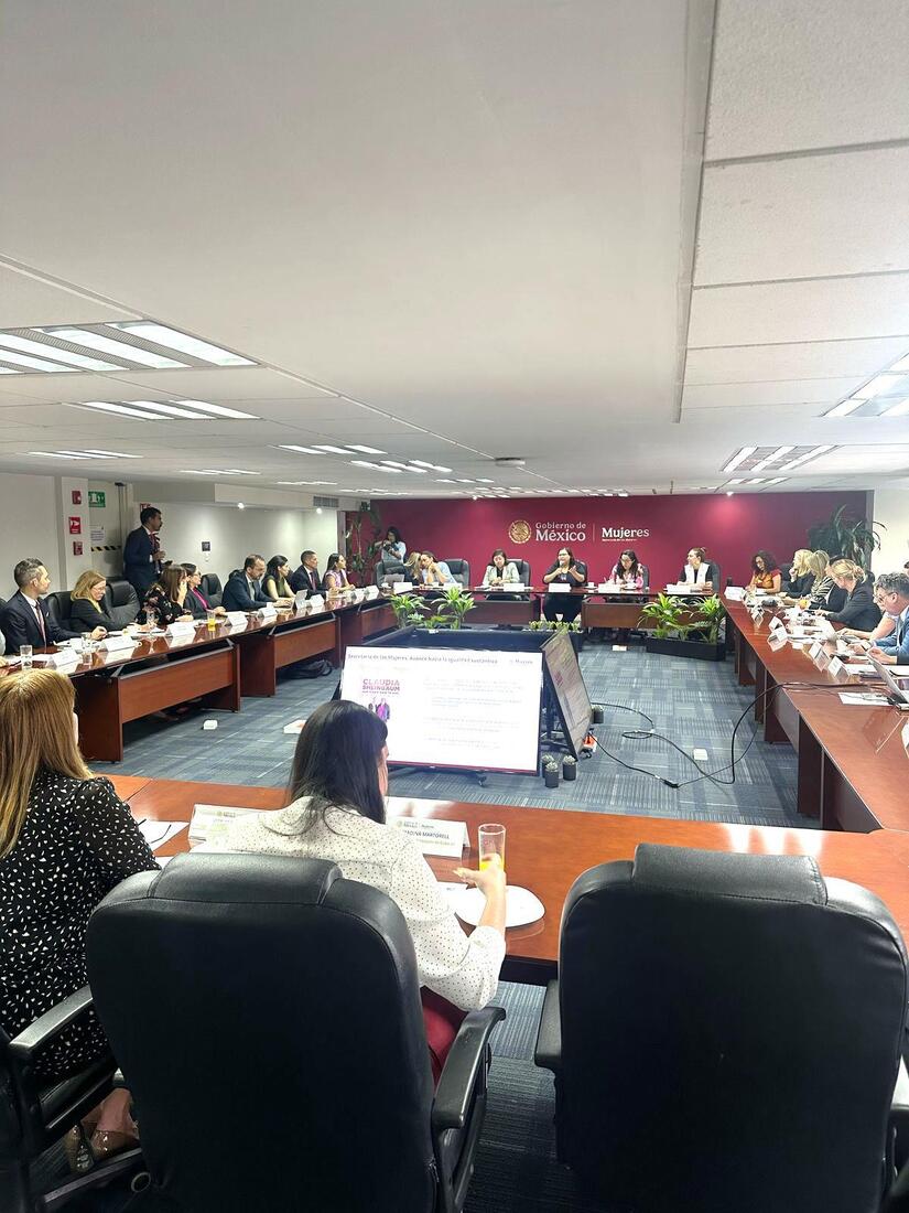 Embajada-de-Nicaragua-en-Mexico-6