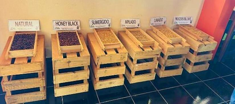 Ministerio-para-la-Promocion-de-Emprendimientos-14