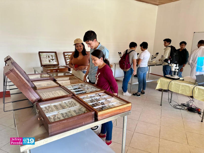 Centro-Universitario-Padre-Camilo-Torres-Restrepo-53