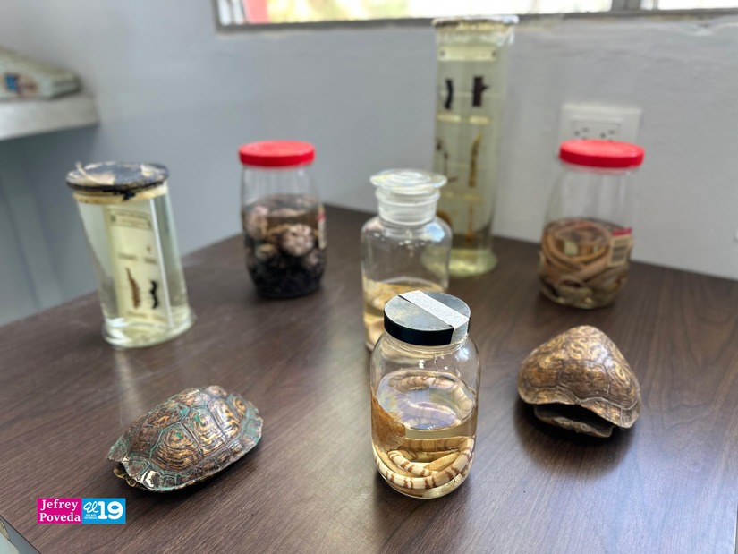 Centro-Universitario-Padre-Camilo-Torres-Restrepo-65