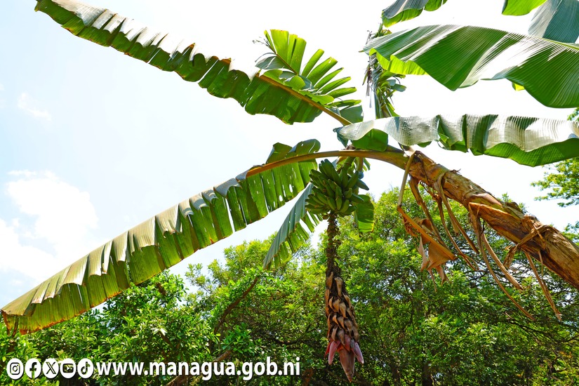 Zoologico-Nacional-19