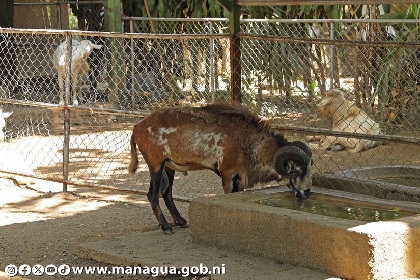 Zoologico-Nacional-28