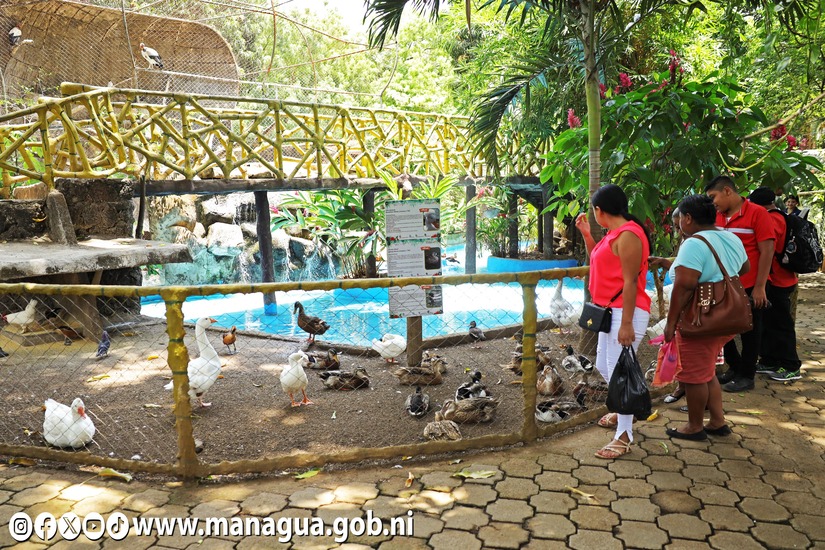 Zoologico-Nacional-3