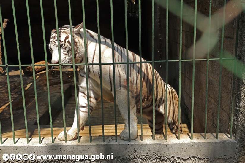 Zoologico-Nacional-32