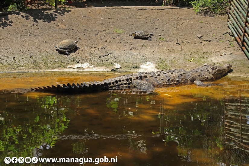 Zoologico-Nacional-33