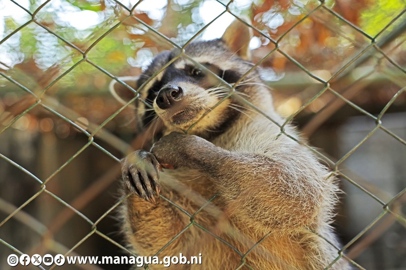 Zoologico-Nacional-35