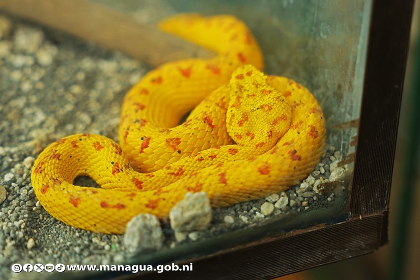 Zoologico-Nacional-46