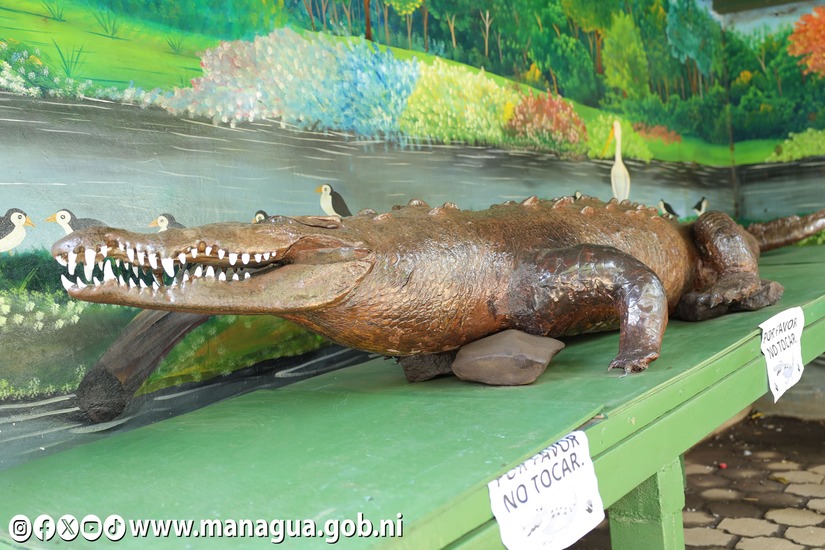 Zoologico-Nacional-48