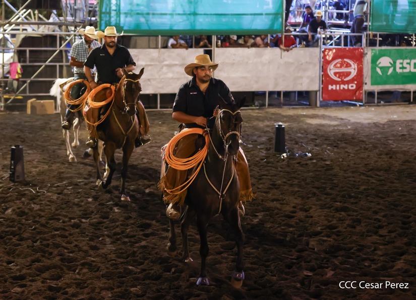 FERIA-GANADERA--(26)