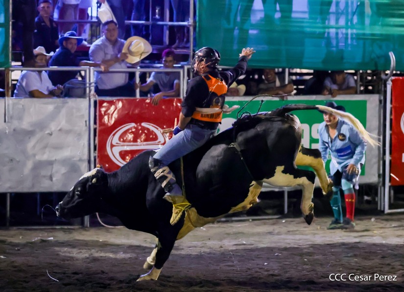 FERIA-GANADERA--(31)