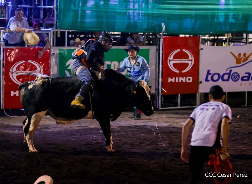 FERIA-GANADERA--(32)