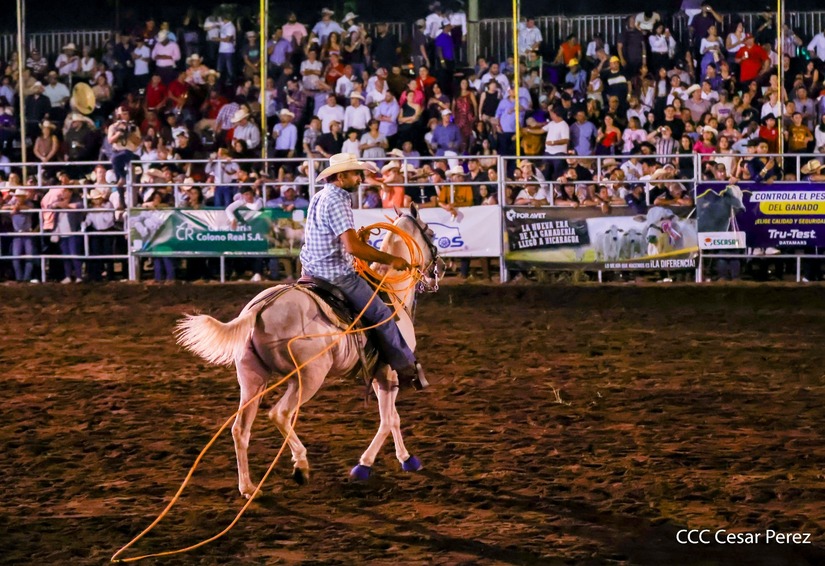 FERIA-GANADERA--(33)