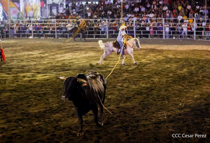 FERIA-GANADERA--(35)