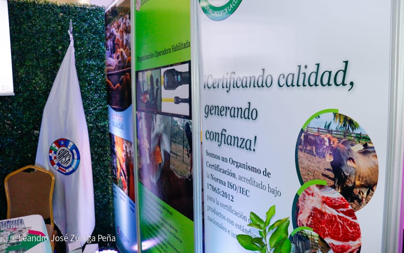 Festival-Gastronomico-27