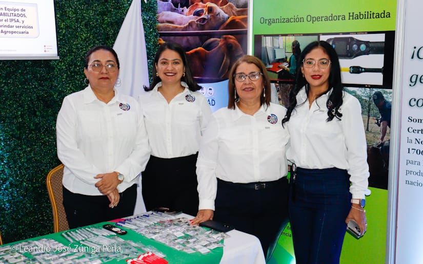 Festival-Gastronomico-29