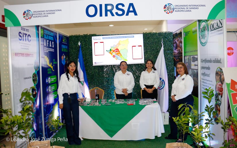 Festival-Gastronomico-30