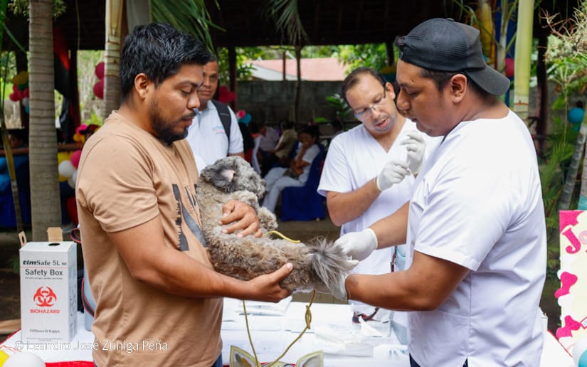Campana-de-vacunacion-3