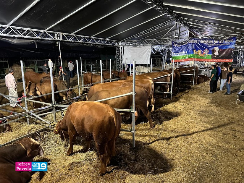 FERIA-GANADERA--(10)