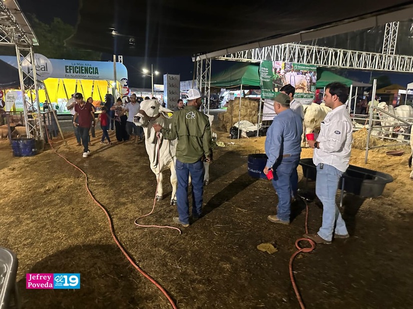 FERIA-GANADERA--(13)