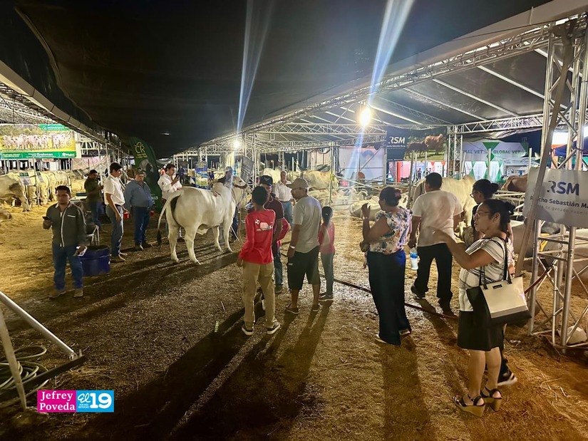 FERIA-GANADERA--(14)