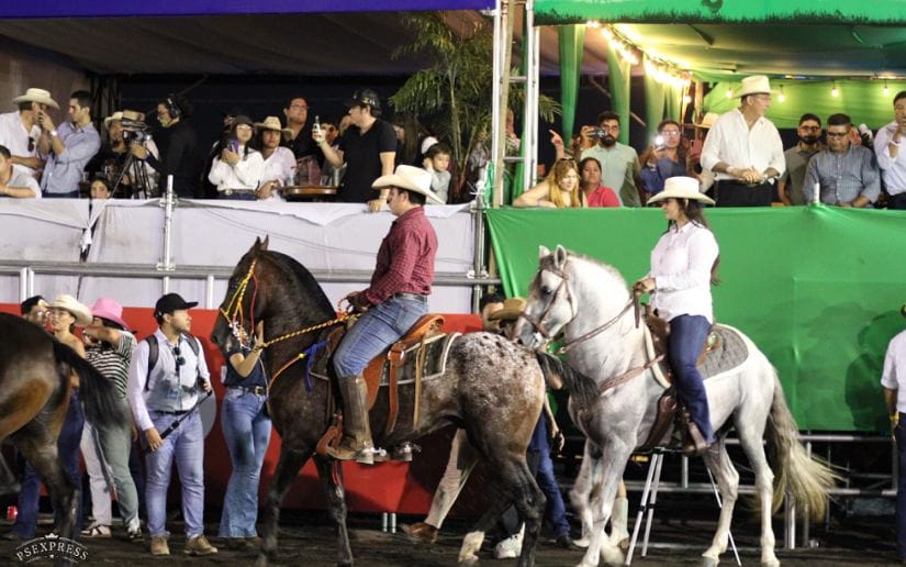 FERIA-(17)