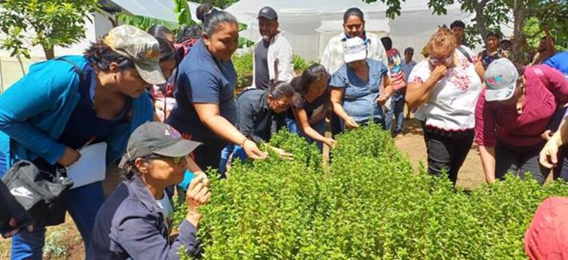 MUJERES-EMPRENDEDORAS-2