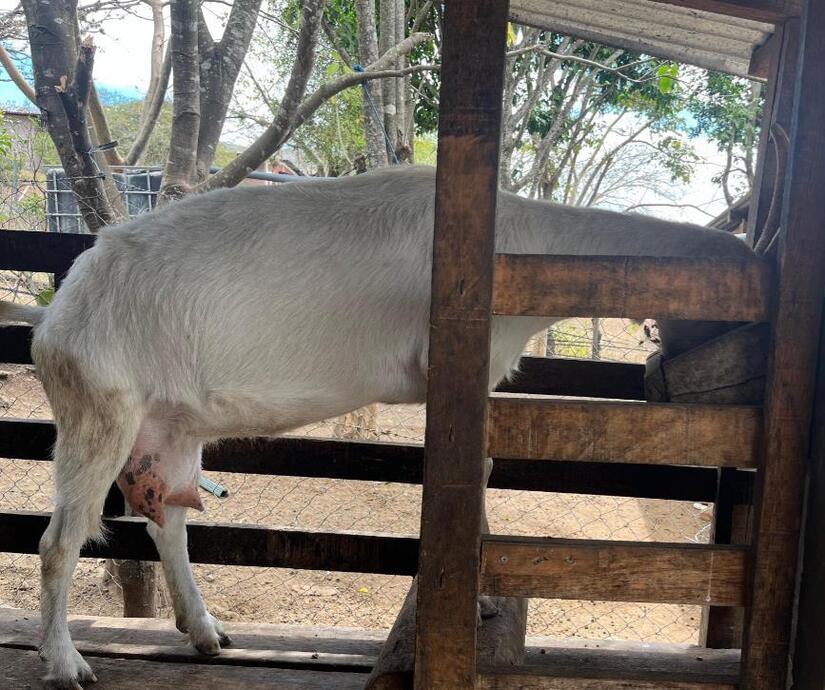 Ministerio-Agropecuario-1