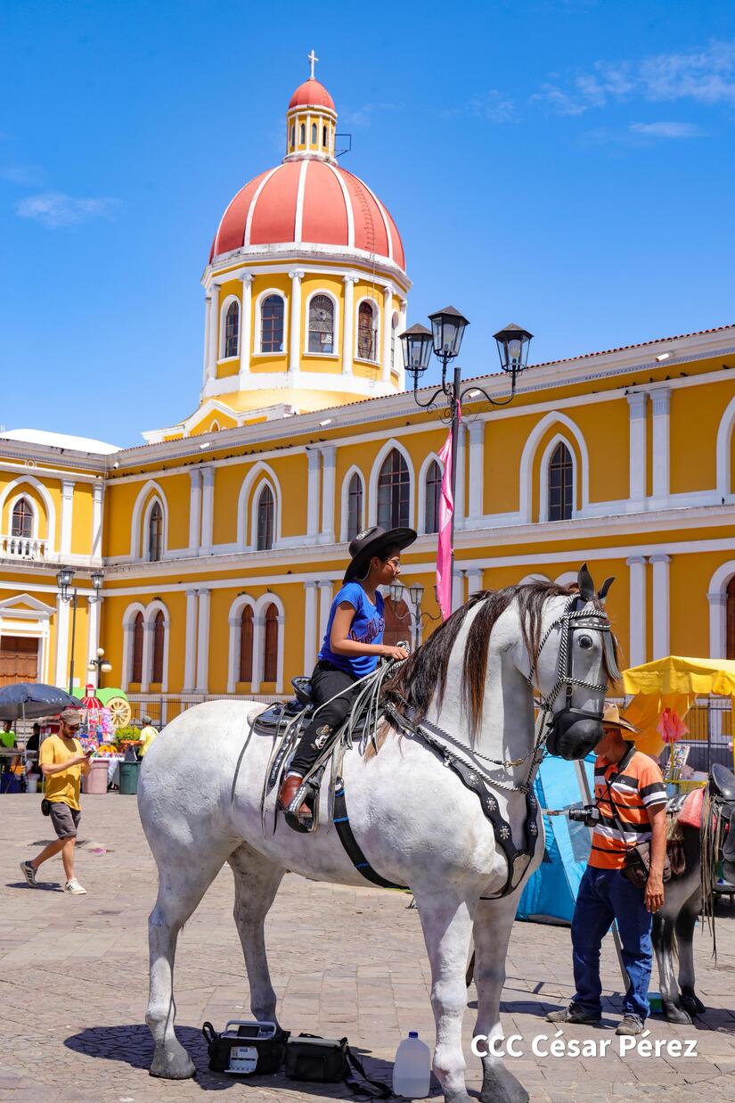 GRANADA-TURISMO--(33)