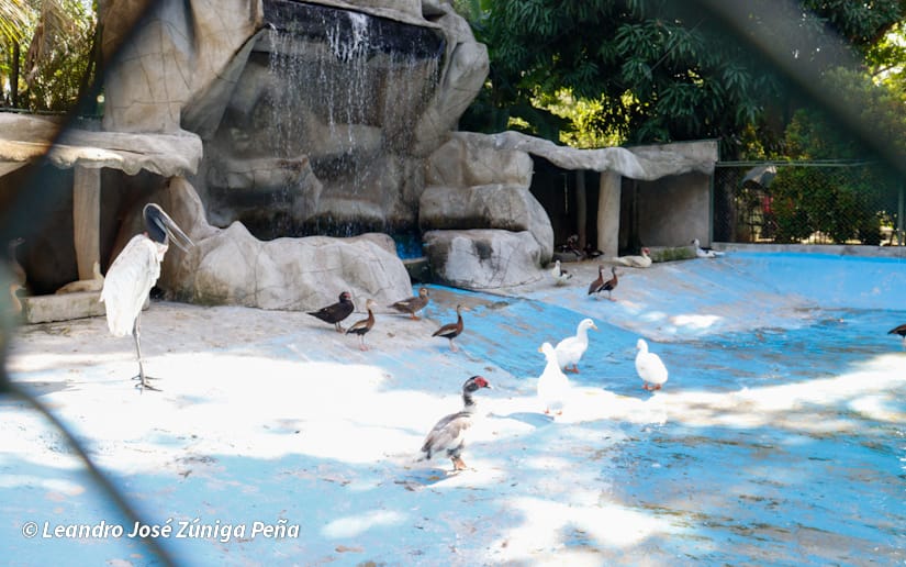 ZOOLOGICO-NACIONAL--(1)