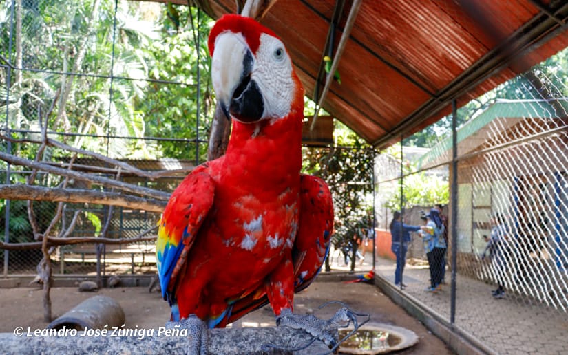 ZOOLOGICO-NACIONAL--(13)
