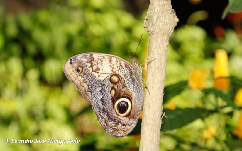 ZOOLOGICO-NACIONAL--(19)