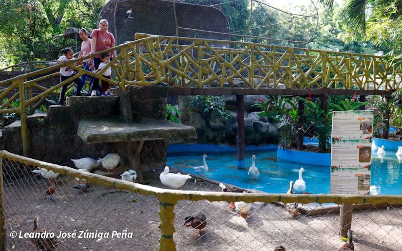 ZOOLOGICO-NACIONAL--(2)