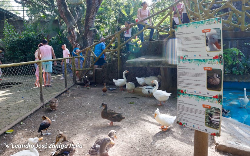 ZOOLOGICO-NACIONAL--(3)